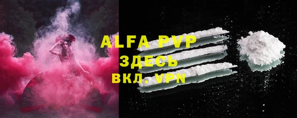 apvp Алзамай